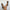 Women's Square Toe Open-Toe Buckle Strap Sandals — Low Heel (3–5 cm / 1.2–2.0 in) Summer Dress Shoes