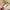 Vintage Lattice Print Wide Sponge Elastic Headband for Women & Girls - Fashion Hair Hoop