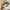 Vintage Lattice Print Wide Sponge Elastic Headband for Women & Girls - Fashion Hair Hoop