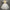 Girls Ballet Tutu Dress – Puffy Princess Dance Dress for Kids, Summer Performance & Party