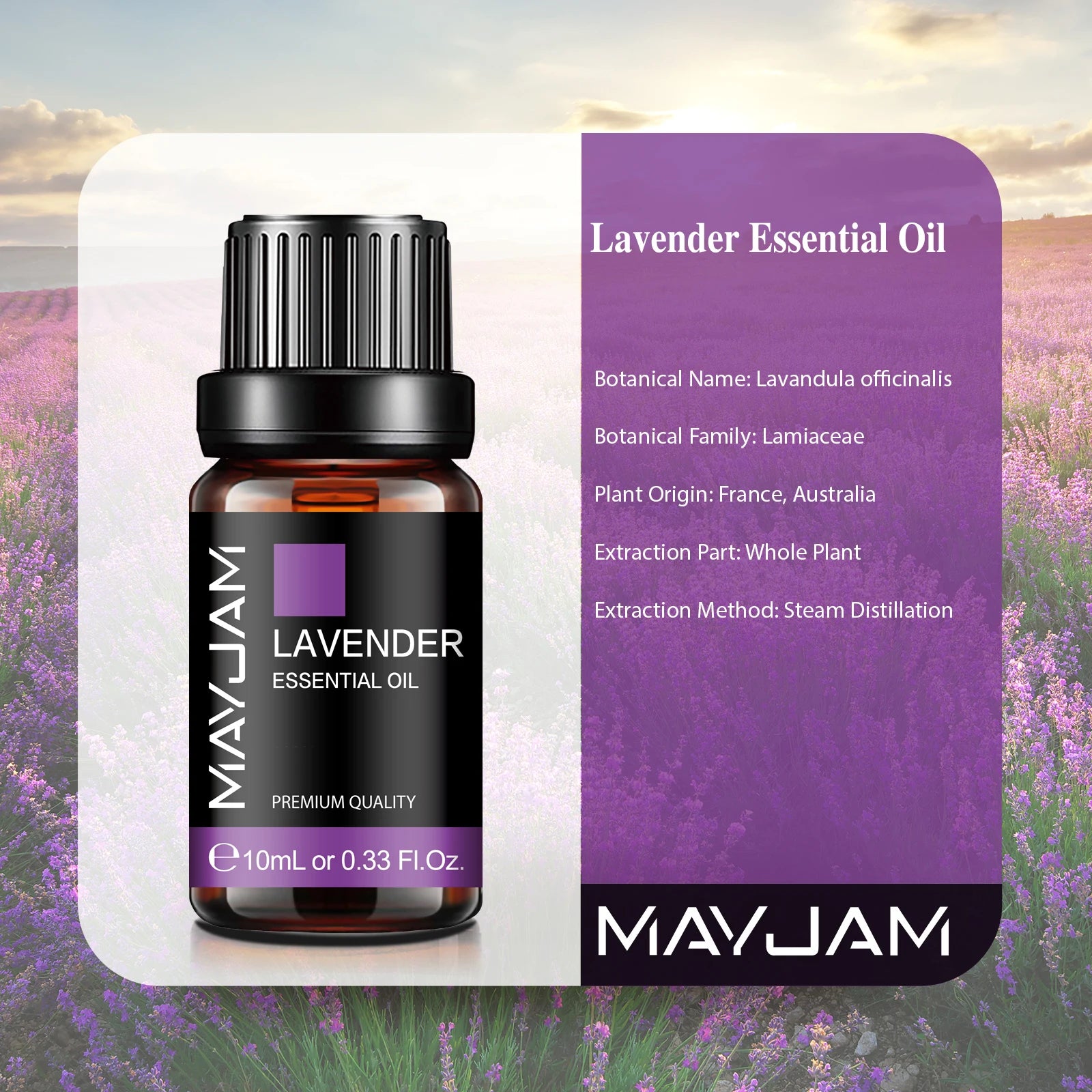 MAYJAM 10ml (0.34 fl oz) Pure Aromatherapy Essential Oil - Lavender, Jasmine, Eucalyptus, Vanilla, Sandalwood, Bergamot, Rosemary, Citronella, Cinnamon