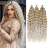 Ariel Water Wave Twist Crochet Braids – Ombre Synthetic Deep Wave Hair Extensions, 22 Inch (55 cm)
