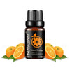 MAYJAM Fruit Fragrance Oil 10ml (0.34 fl oz) – Cherry Banana Papaya Grape Litchi Guava Kiwifruit Pear Fig for Diffuser & Candle