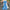 V-Neck Dolman Sleeve Polka Dot High-Waist Wide-Leg Jumpsuit for Women