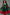 Plus Size Emerald Green Gradient V-Neck Sheer Tulle Wrap Mini Dress, Lantern Long Sleeves, Christmas Party