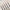 Professional Nail Art Liner Brush Set — Striping & Detailing Pens, 6–25 mm (0.24–0.98 in) Tips
