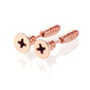 2-Pack Punk Stainless Steel Nail Spike Stud Earrings for Men & Women - Gold & Black Cartilage Tragus Helix Piercing