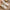 Women's Winter Fur Slippers Indoor Fluffy Bear Plush House Slides Warm Flat Fuzzy Slippers