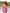 Women's V-Neck Short Sleeve Solid Jumpsuit - Summer Casual Vacation Romper