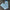 Y2K Embroidered Baggy Boyfriend Jeans for Women — High-Waist Straight Leg Streetwear Denim (Light Blue, Dark Blue, Black)
