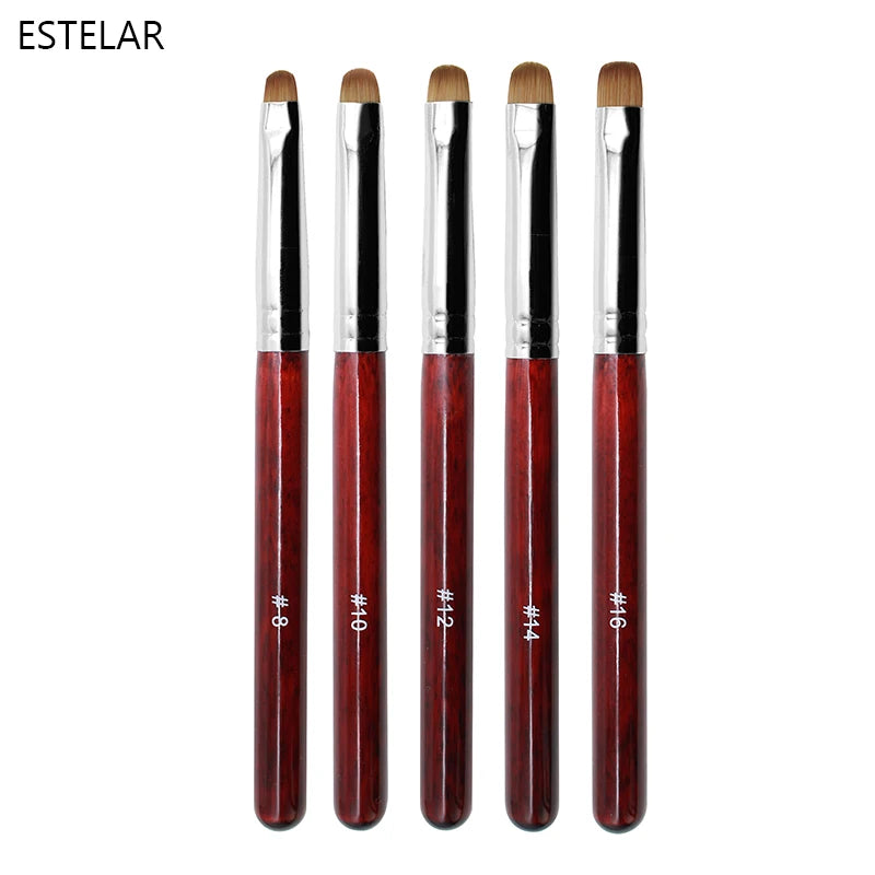 5-Piece Dual-Ended Nail Art Brush Set (Sizes 8–16) – Dotting Pens & Acrylic Gel Brushes for Manicure & Rhinestone Design