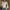 Women’s White Chiffon Button-Down Blouse with Pocket — Long Sleeve Lapel Office Top