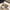 Cute Kitty Paw Furry Slippers for Women, Plush Non-Slip Indoor Outdoor Mules
