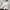 Women's Long Sleeve Loose Ruffle Lace Blouse – Button Stand Collar Pleated Casual Top (White/Apricot)