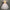 Girls Ballet Tutu Dress – Puffy Princess Dance Dress for Kids, Summer Performance & Party