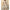 Women's Printed Belted Button-Front Collared Jumpsuit – Casual Office Capri (Ankle-Length)
