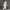 Women’s Knitted Fishtail Midi Dress – Slim Fit Lapel Collar, Flared Full Sleeves – Autumn Winter Solid