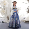 Girls Hanfu Dress Summer Tang Style Kids Cosplay Party Costume Long Princess Outfit