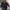 Plus Size Women's Embroidered 3D Yarn Floral Pullover Sweater Long Sleeve Autumn/Winter