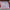Polyester Satin-Look Square Scarf 70 x 70 cm (27.6 x 27.6 in), Cat Print Headscarf, Neck Wrap, Bandana for Women