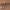 Makeup Brush Set – 15/10/7-Piece Synthetic Face & Eye Brushes for Foundation, Powder, Blush, Eyeshadow, Eyeliner & Lip