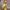 Combhasaki Strapless A-Line High-Slit Maxi Dress with Scarf, Ruffle Hem Backless Summer Party Dress