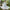 Baby Toddler Girl Tang-Style Hanfu Dress Summer Princess Outfit