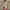 Women's Ribbed Knit Long-Sleeve Sweater Dress – Slim Fit Round Neck, Above-Knee
