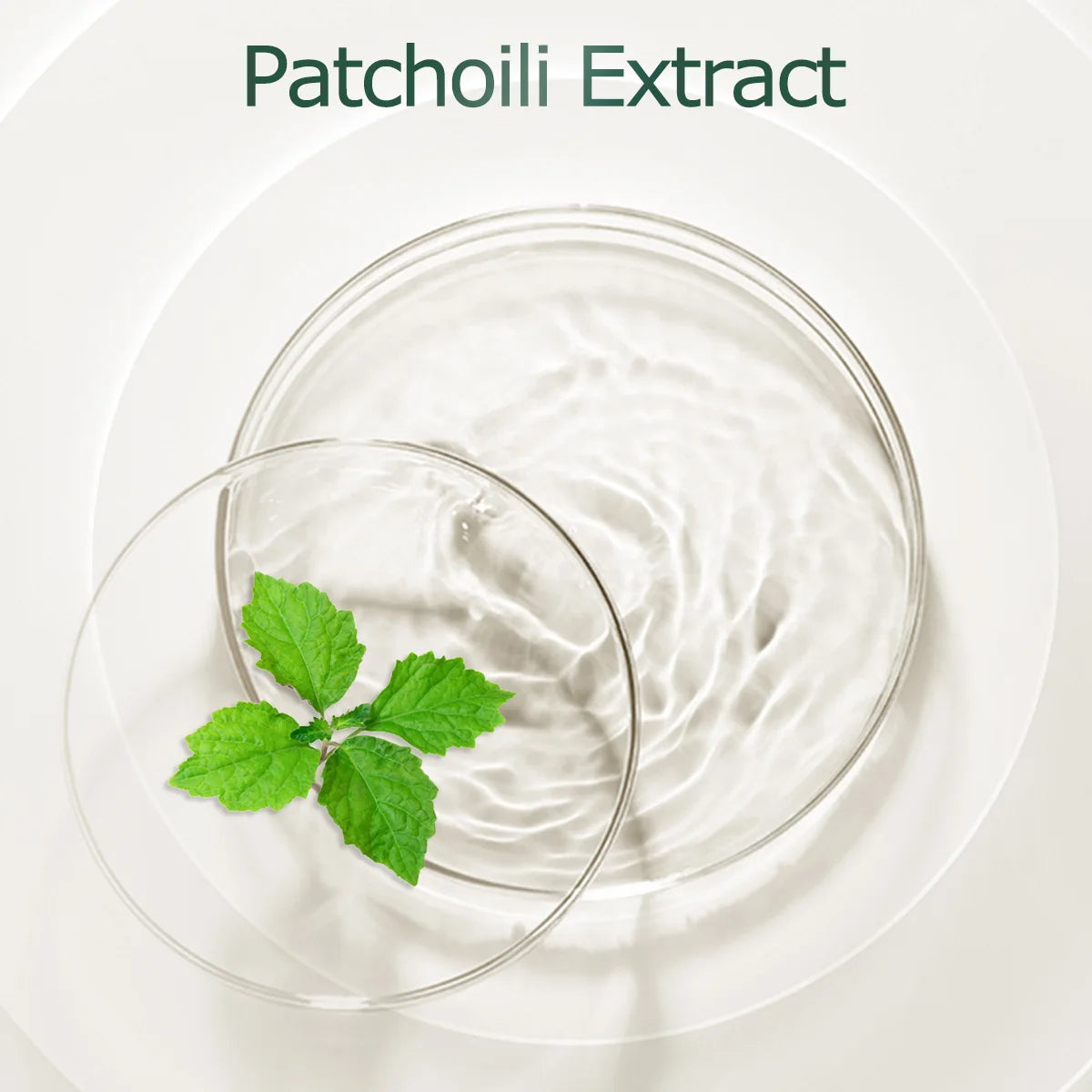Pure Patchouli Essential Oil – Aromatherapy Diffuser & DIY Fragrance