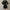 White Thick Knit Hooded Mini Dress - Korean Elastic High-Waist Bandage Long Sleeve Slim Fit