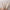 Retro Pearl Headband for Women – Vintage-Inspired Elegant Hairband, Exquisite Hair Accessory & Gift