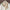 Luxury Satin Square Scarf 70 x 70 cm (27.6 x 27.6 in) – Silk-Feel Polyester Shawl Hijab Neckerchief Hair Ribbon Headband Bandana