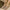 Women's Heart-Shaped Winter Slippers Soft Silent Sole Indoor Cozy House Shoes