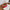 Vintage Red Velvet Headband for Women – Padded Wool-Style Hairband, Christmas Hair Accessory
