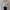 Elegant Satin Women's Button-Up Blouse Turn-Down Collar Vintage Casual Silk-Look Top