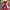 V-Neck Dolman Sleeve Polka Dot High-Waist Wide-Leg Jumpsuit for Women