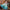 Girls Hanfu Dress Summer Tang Style Kids Cosplay Party Costume Long Princess Outfit