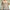 Women's Vintage Square Collar Knit Sweater - Loose Fit Long Sleeve Pullover