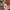 Ankle-Length Kimono Dress for Women – Traditional Japanese Yukata Cosplay Party Ethnic Streetwear
