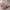 Unisex Fluffy Indoor Slippers - Soft Plush Anti-Slip Home Slides for Autumn Winter