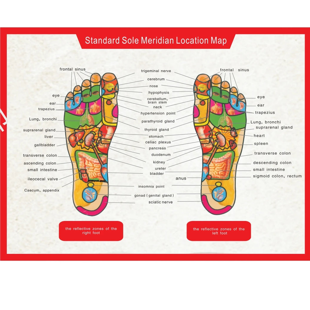 Hailicare Rechargeable EMS Foot Massage Pad — Calf & Foot Massager Mat for Improved Blood Circulation, Edema Relief, Muscle Relaxation & Slimming