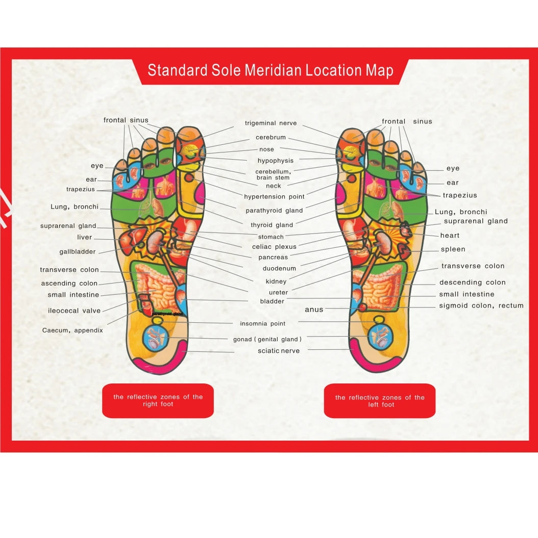 Hailicare Rechargeable EMS Foot Massage Pad — Calf & Foot Massager Mat for Improved Blood Circulation, Edema Relief, Muscle Relaxation & Slimming