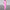 Off-Shoulder Wide Leg Jumpsuit for Women, High Waist Office Romper with Full-Length Flare Pants – Spring/Summer