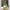 Women's Casual Color-Block V-Neck Ankle-Length Maxi Dress — Loose Short Sleeve A-Line Summer Dress