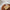 Glass Essential Oil Diffuser with Wood Grain Base — 2600mAh Nebulizer Aromatherapy for Home & Office