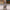 Women's Vintage Printed Boho Maxi Dress - V-Neck Sleeveless A-Line Summer Beach & Party Dress