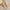 Women’s Pointed Toe Slingback Sandals – Square Mid Heel 5-8 cm (2.0-3.1 in), PU Platform Ankle Strap
