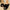 Women's Faux Fur Shearling Slippers — Cozy Indoor Slip-On with Instep & Toe Strap, EVA Sole