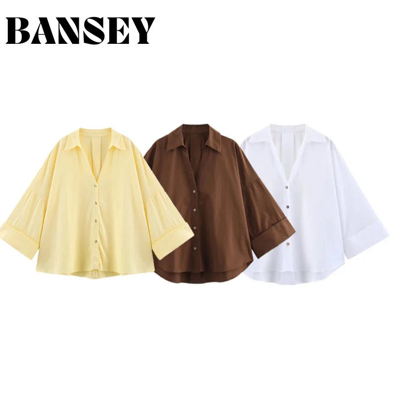 Women's Long Sleeve V-Neck Blouse - Solid Color Office Shirt, Spring/Summer