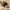 Vintage Lattice Print Wide Sponge Elastic Headband for Women & Girls - Fashion Hair Hoop